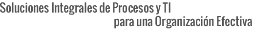 Soluciones Integrales de Procesos y TI para una Organización Efectiva